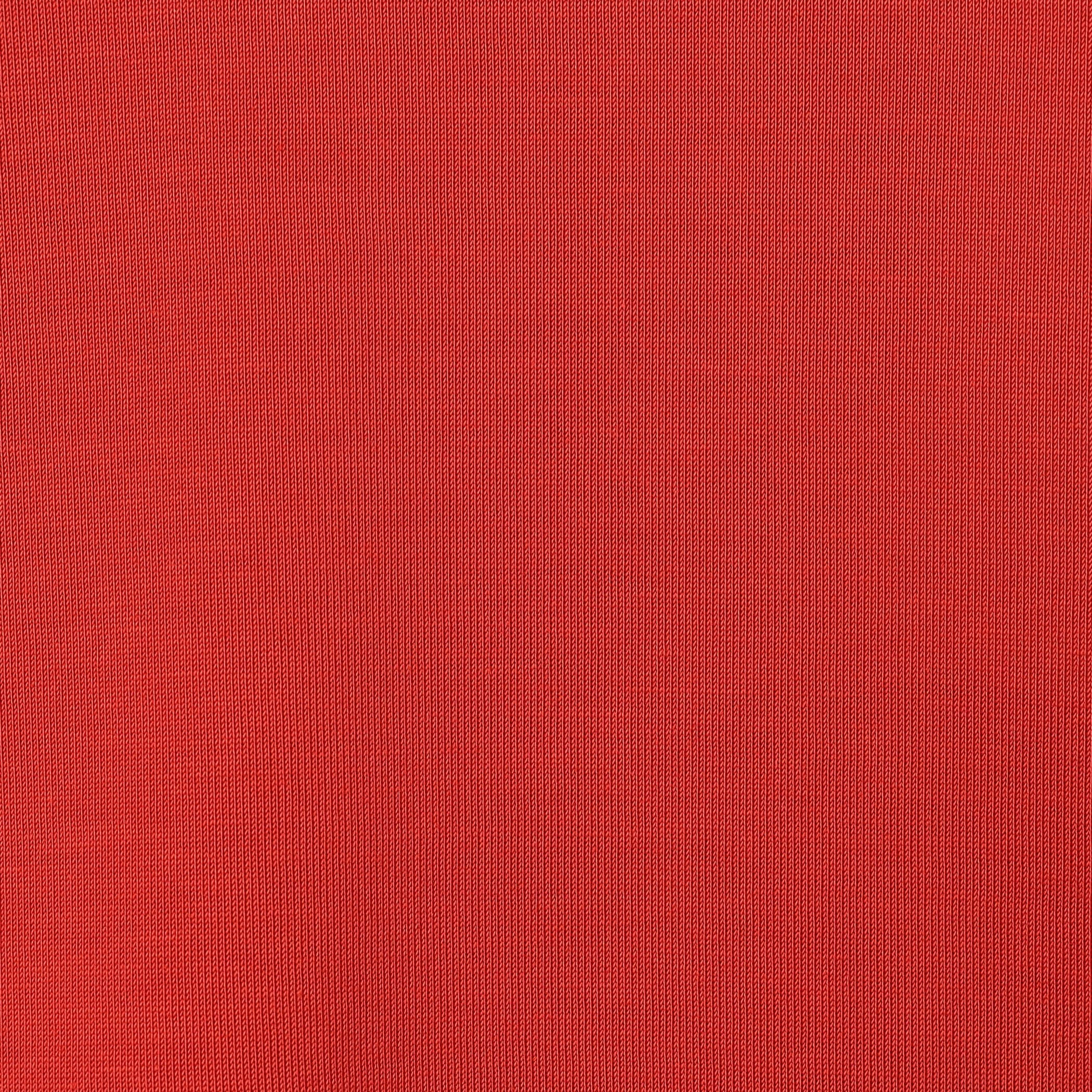 Store-Exclusive Women's Cotton Jersey Short Length T-shirt - Image 12