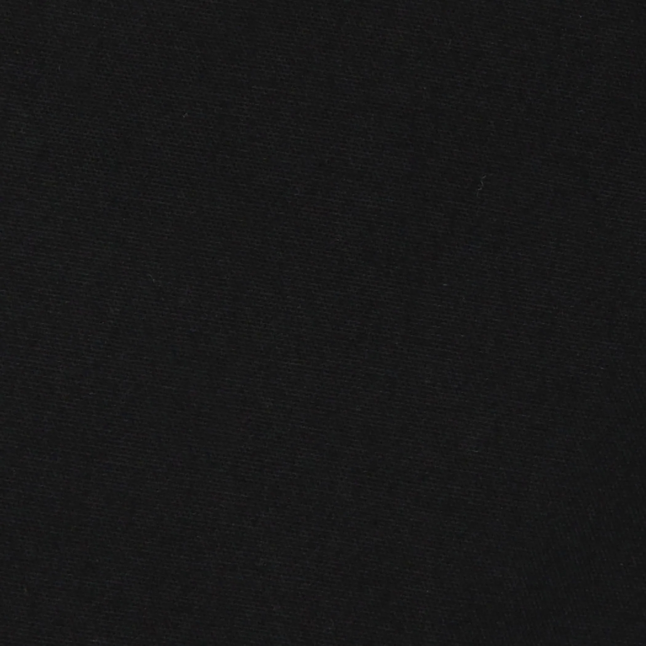 Store-Exclusive Women's Oxford Shorts - Image 8